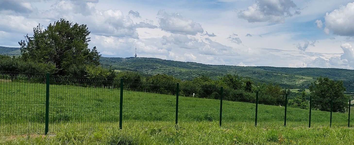 Ograda sa usadnim stubovima podloga je zemlja